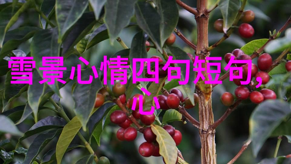 恐怖片的极限阴影深处的绝望