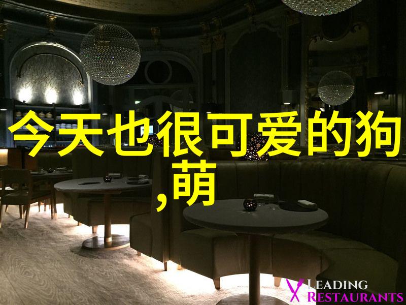 帅哥同性恋的时尚世界