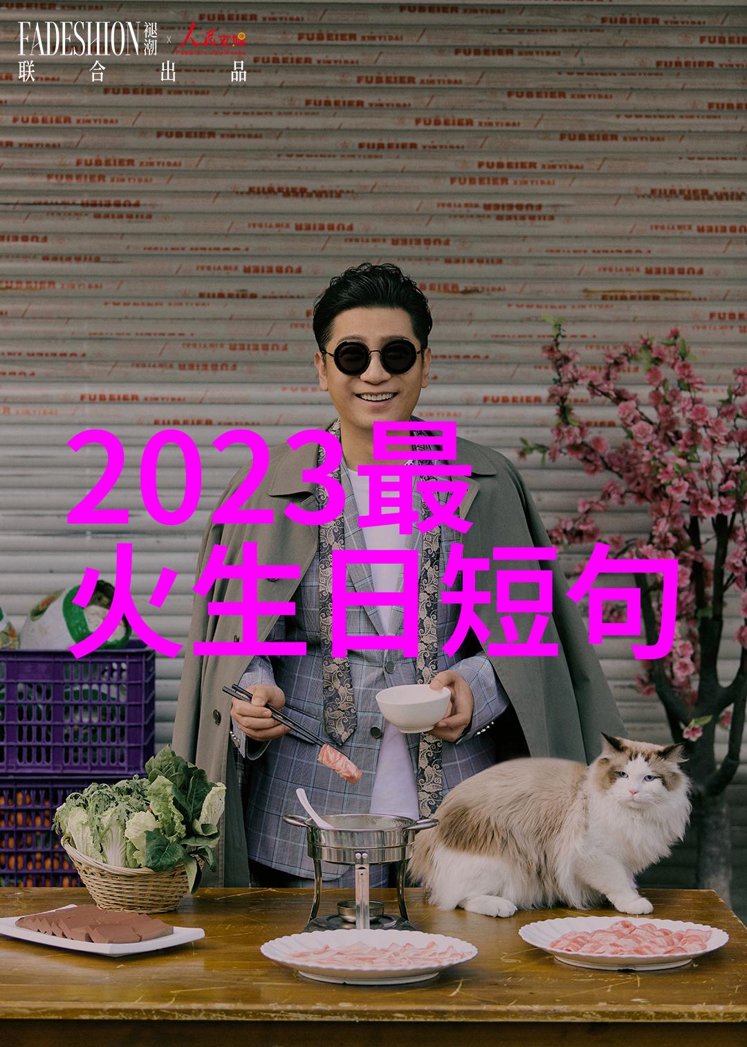 袖手旁观齐秦的音乐世界