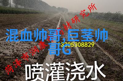 恋爱综艺风云阿毛颜大雨回忆中的See you again
