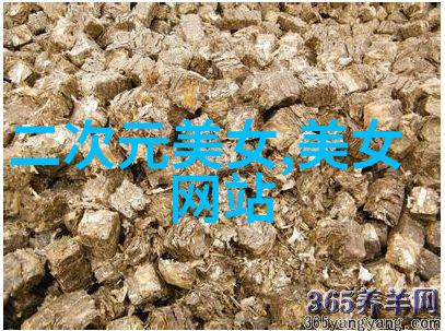 数字绘卷可爱机芯之梦