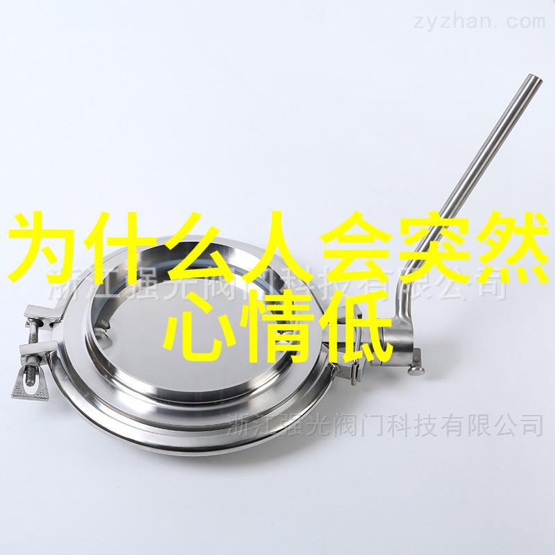 情感共鸣之旅特别伤感的语言世界
