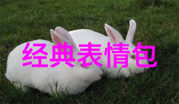 他人眼中的观点不喜欢的角色背后隐藏着怎样的故事