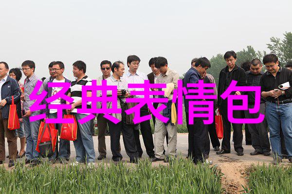 2020最新微信网名梦幻诗意撩人女生网名分享仙气爆炸