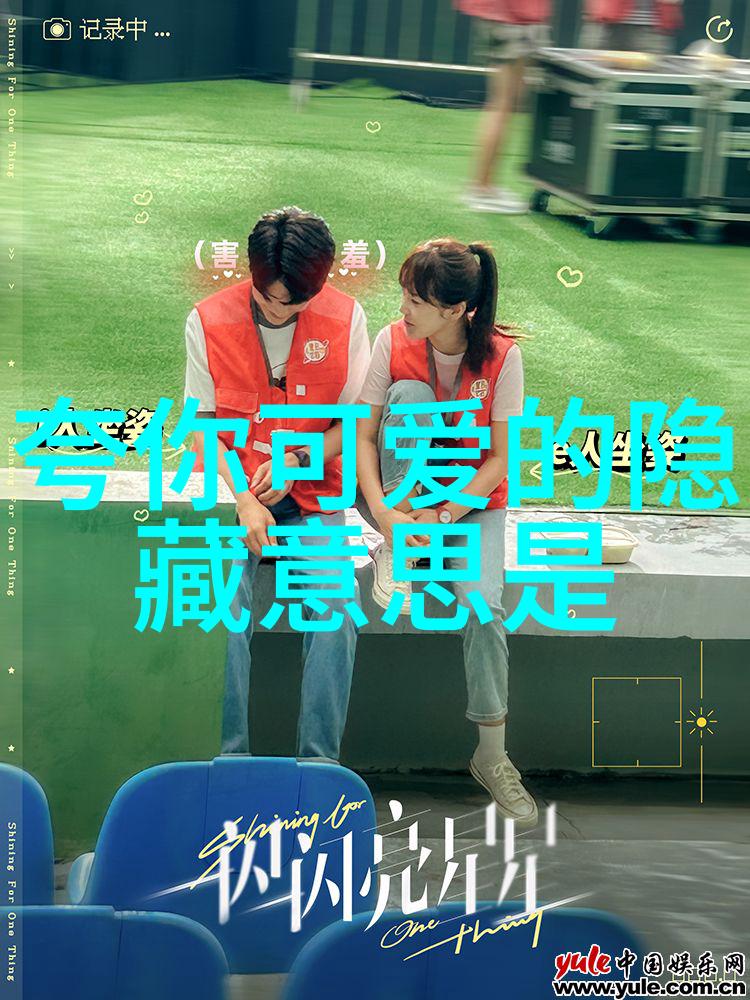最美情侣中文字幕电影我的青春爱情故事