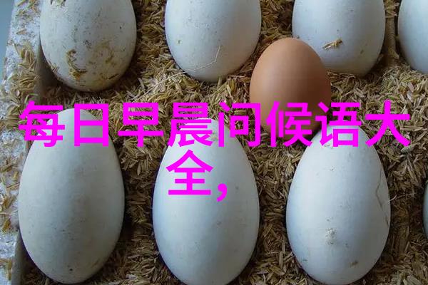 网红雪梨多有钱斗鱼小王哥粉丝节大胜小浩新一代户外达人花落1221923金币