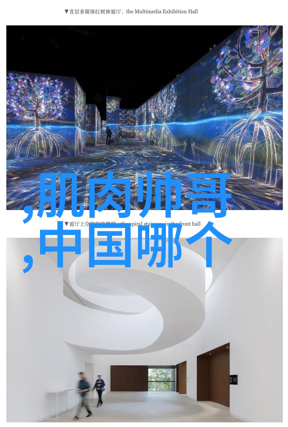 台湾女明星台湾娱乐圈的美丽代表