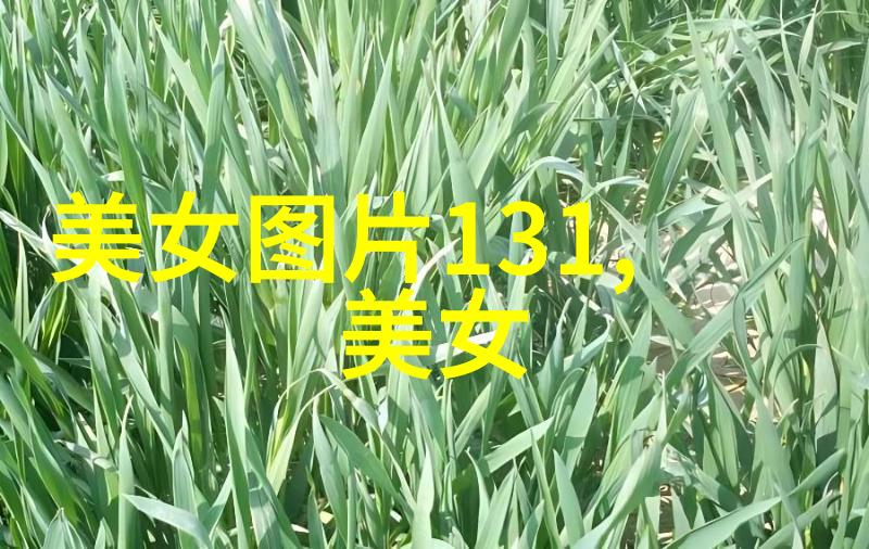 娱乐圈的秘密花园