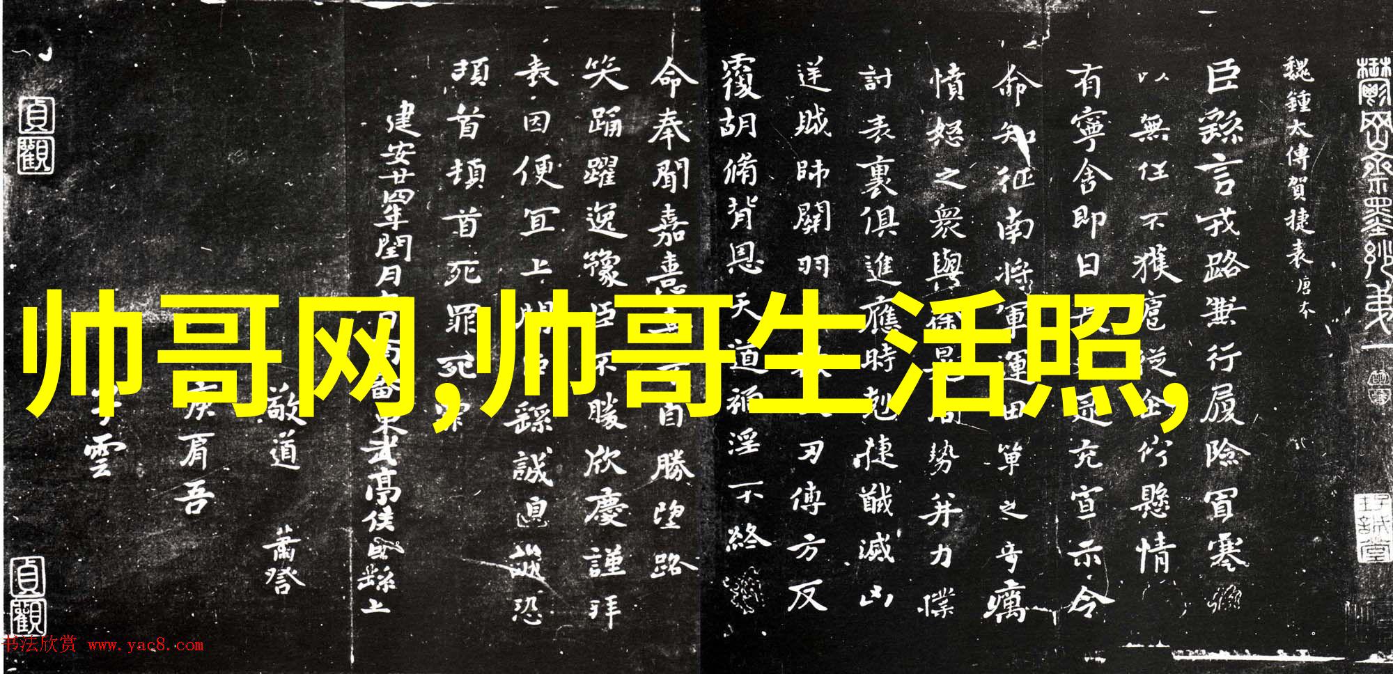 社群聚焦聊天室的魅力与秘密