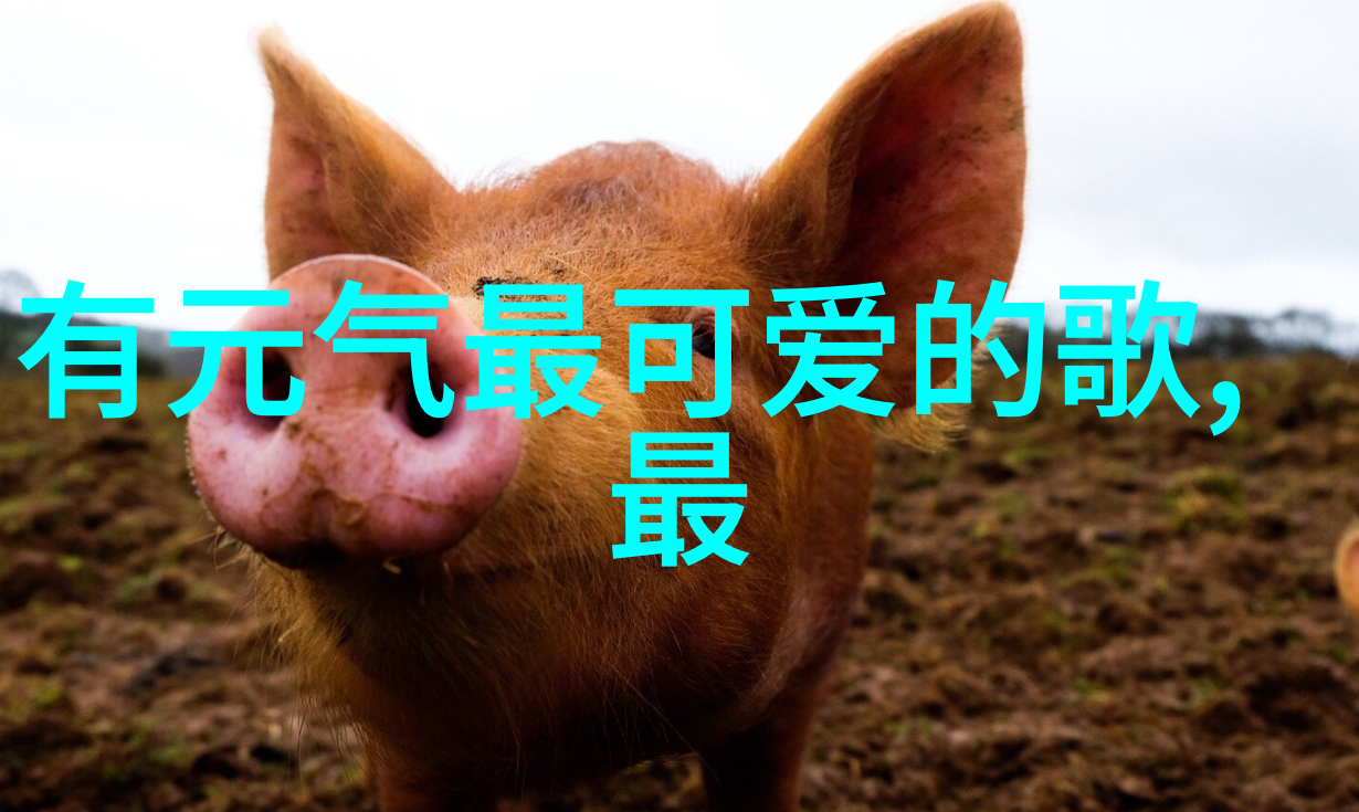 商业信息网上的物品交易让人感叹虚度光阴时间过得飞快