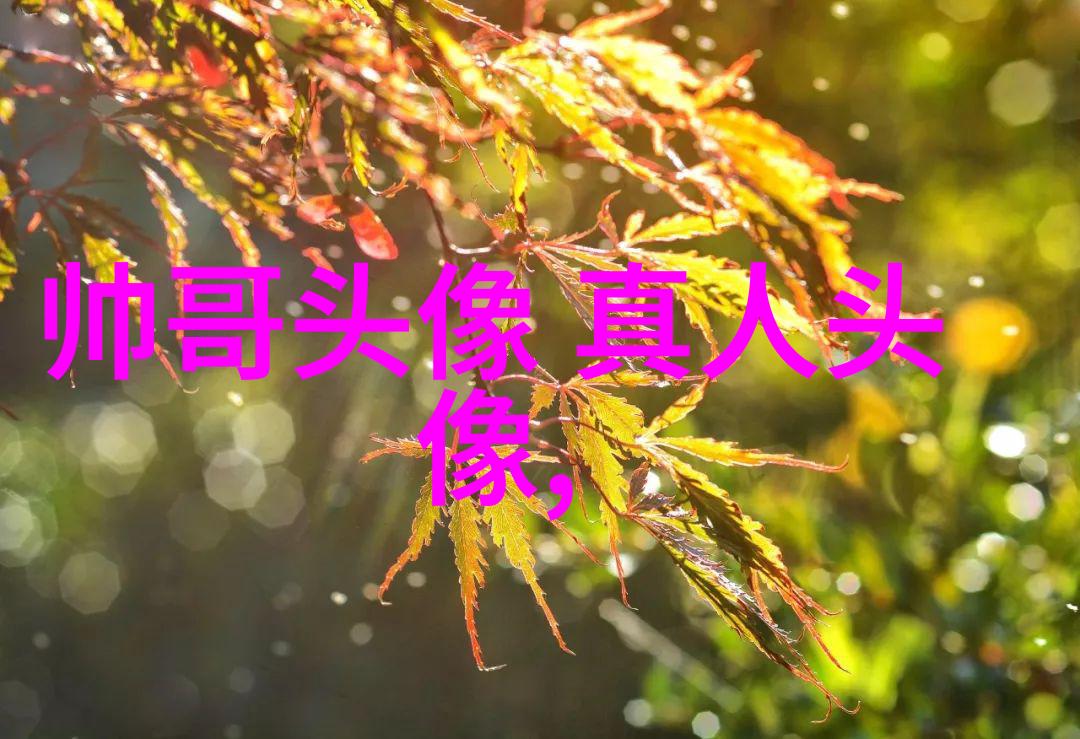 那达慕蒙古族的丰收盛宴与文化重要节日探究