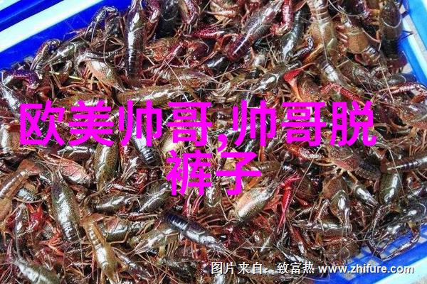 从墨水到代码古文字识别扫描的科学探索