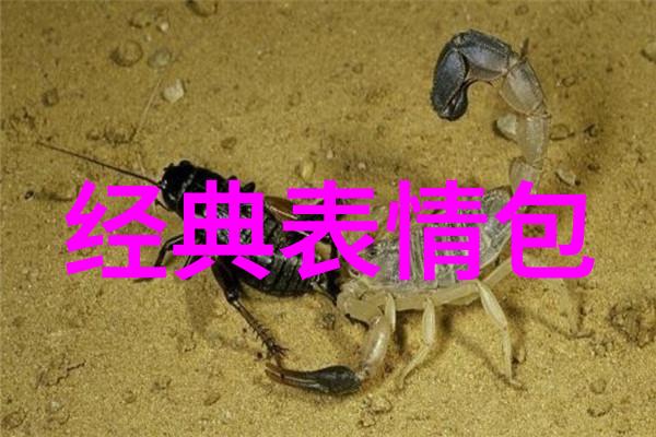中文字幕乱码中文乱码 - 字幕混乱揭秘中文字幕乱码的原因与解决之道