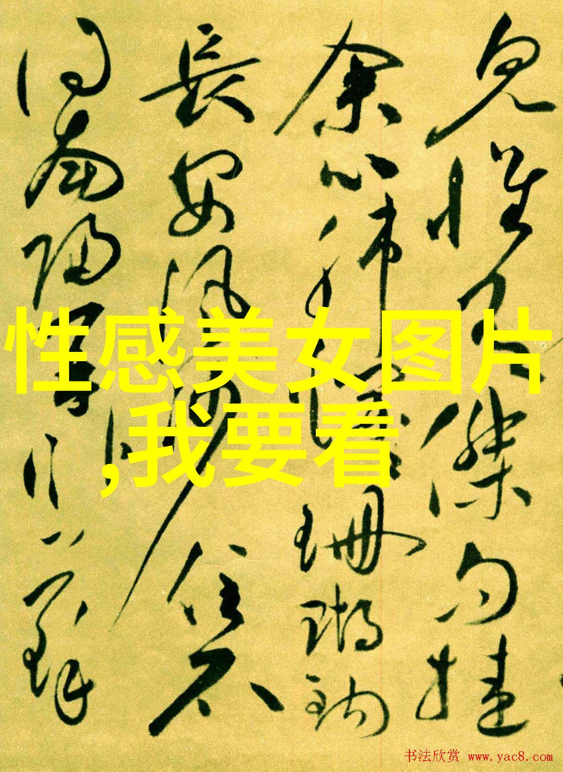 探索冷门繁体字的文化价值在哪里