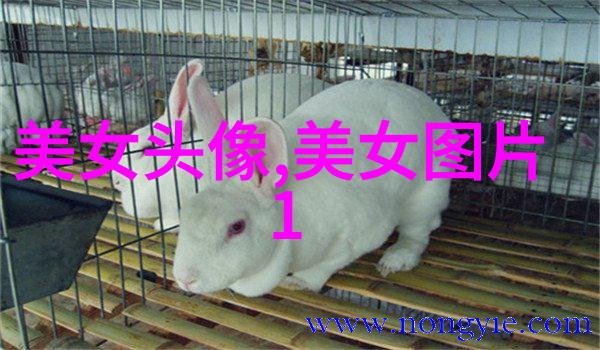 惊心动魄一瞬之间的恐怖