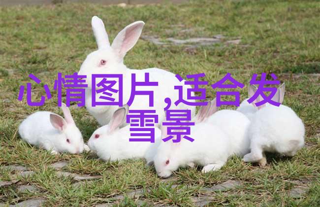 深渊之光恐怖游戏单机版的惊魂之旅