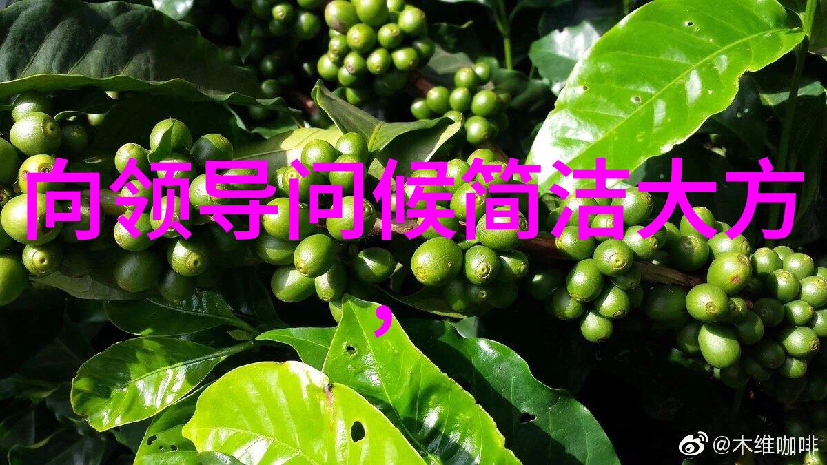 2022最火游戏网名仿佛有生命的灵魂在其中跳跃与舞动