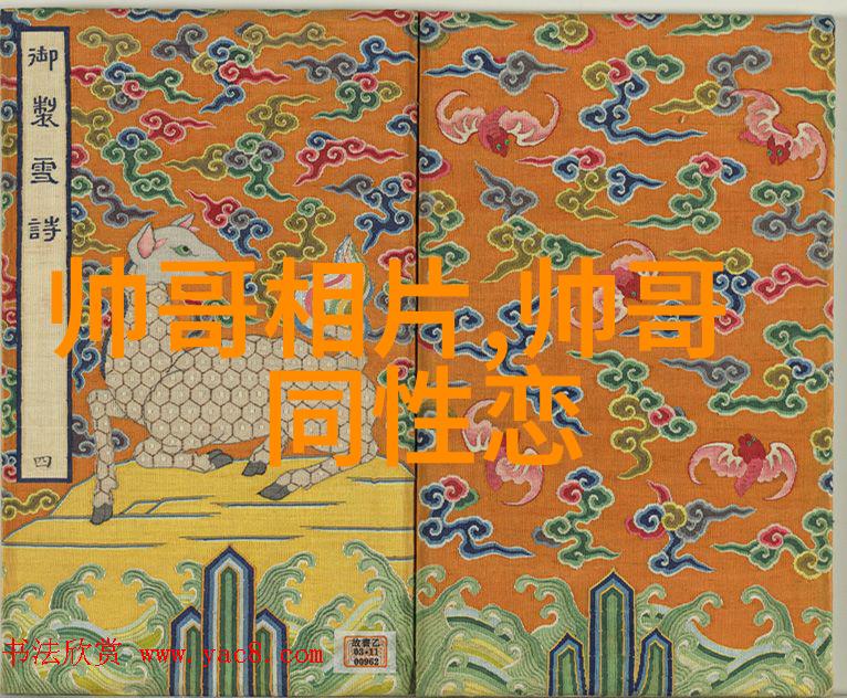 星光下的助推者明星鼓励师的力量