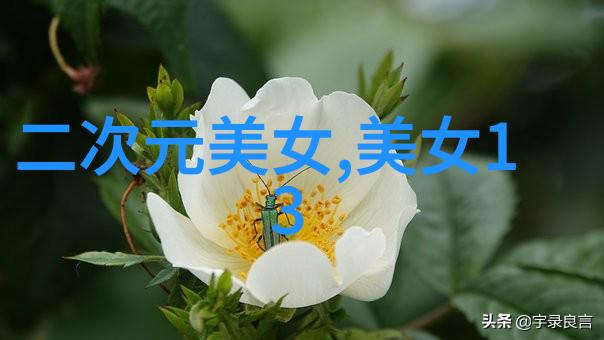 猪年祝福语集锦毕业说说的喜庆篇章