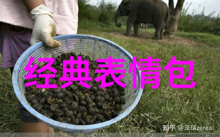 恐怖吓人的图片-画面中的阴影揭秘那些让人颤抖的恐怖艺术