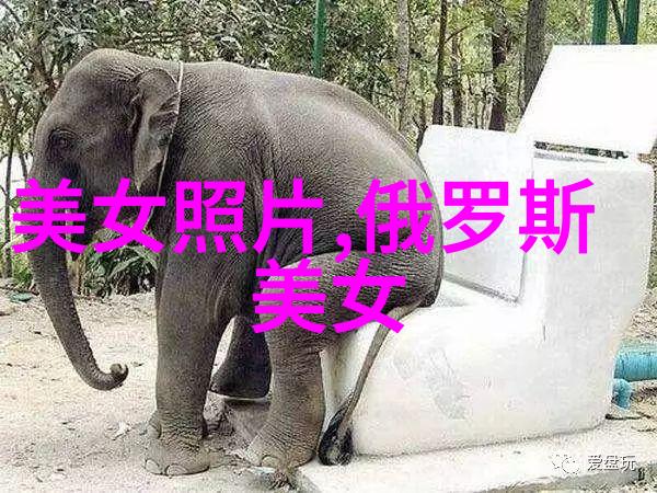 电视剧中的哪位女性角色最为人所熟知和喜爱
