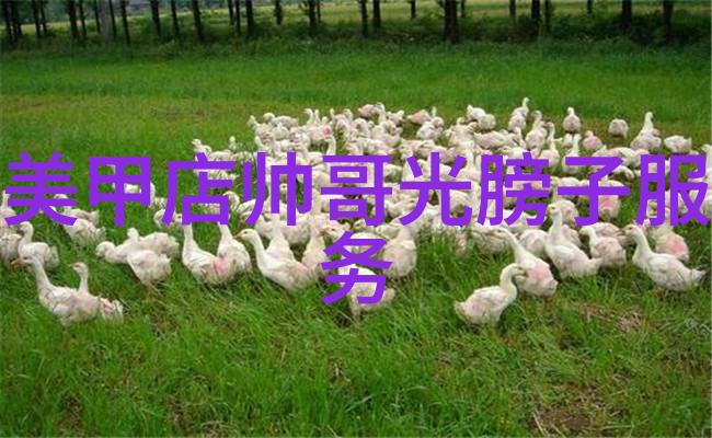 鄂州百度云瓜果采摘之旅