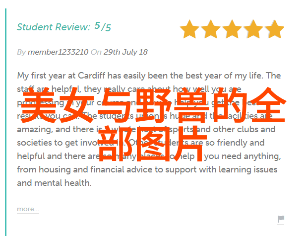 网络恐怖视频的兴起与影响