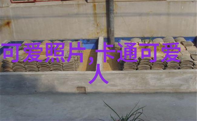 明星大侦探第六季影视界的谜团解密者