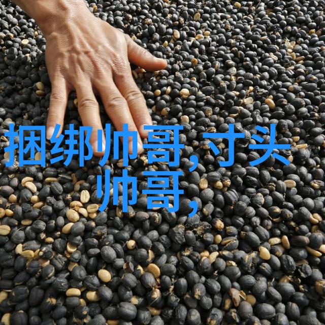 在忙碌的工作中找到时间进行自我反思能领会到哪些人生感悟句子