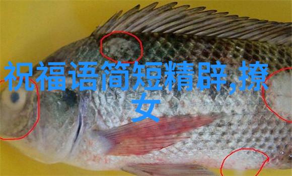 女明星 - 光芒背后的秘密女明星的成功之道