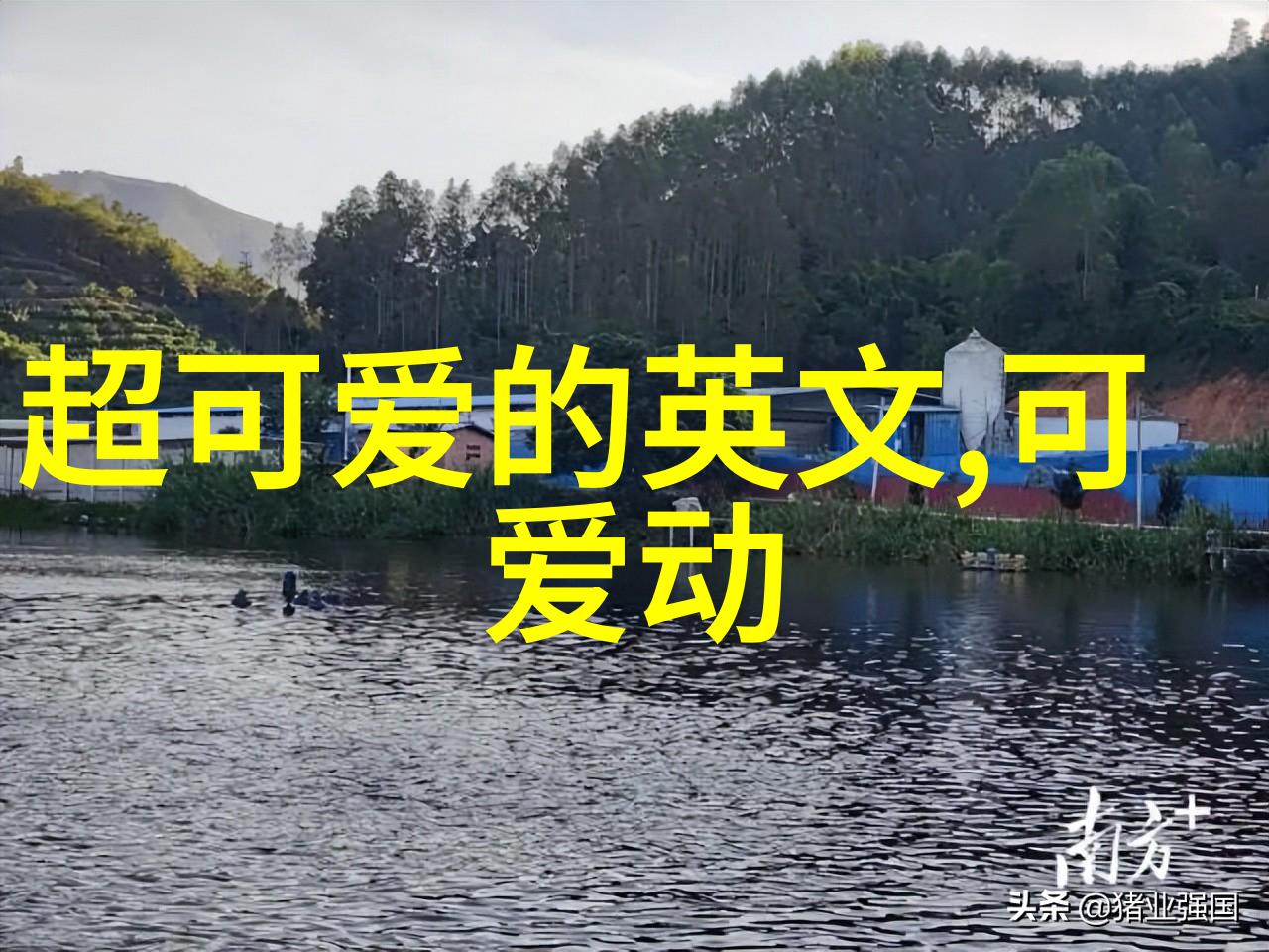 路边野餐百度云下的分享与回忆