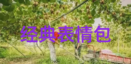 文字表情包未解之谜