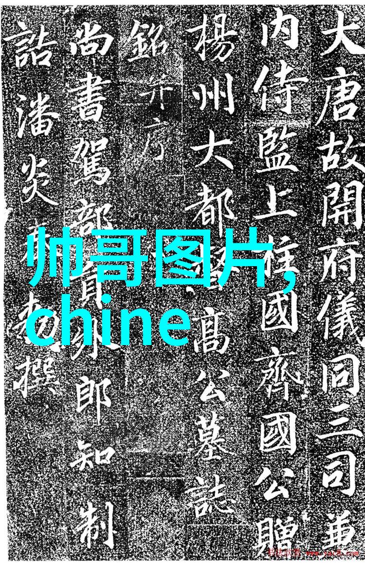 明星大侦探第八季全集下载如何观看最新一季