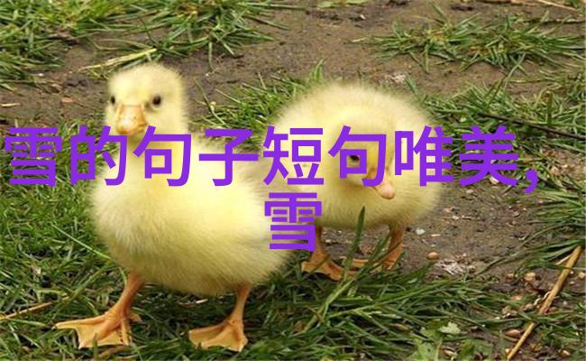 秘技揭秘如何用脚心征服美女心房