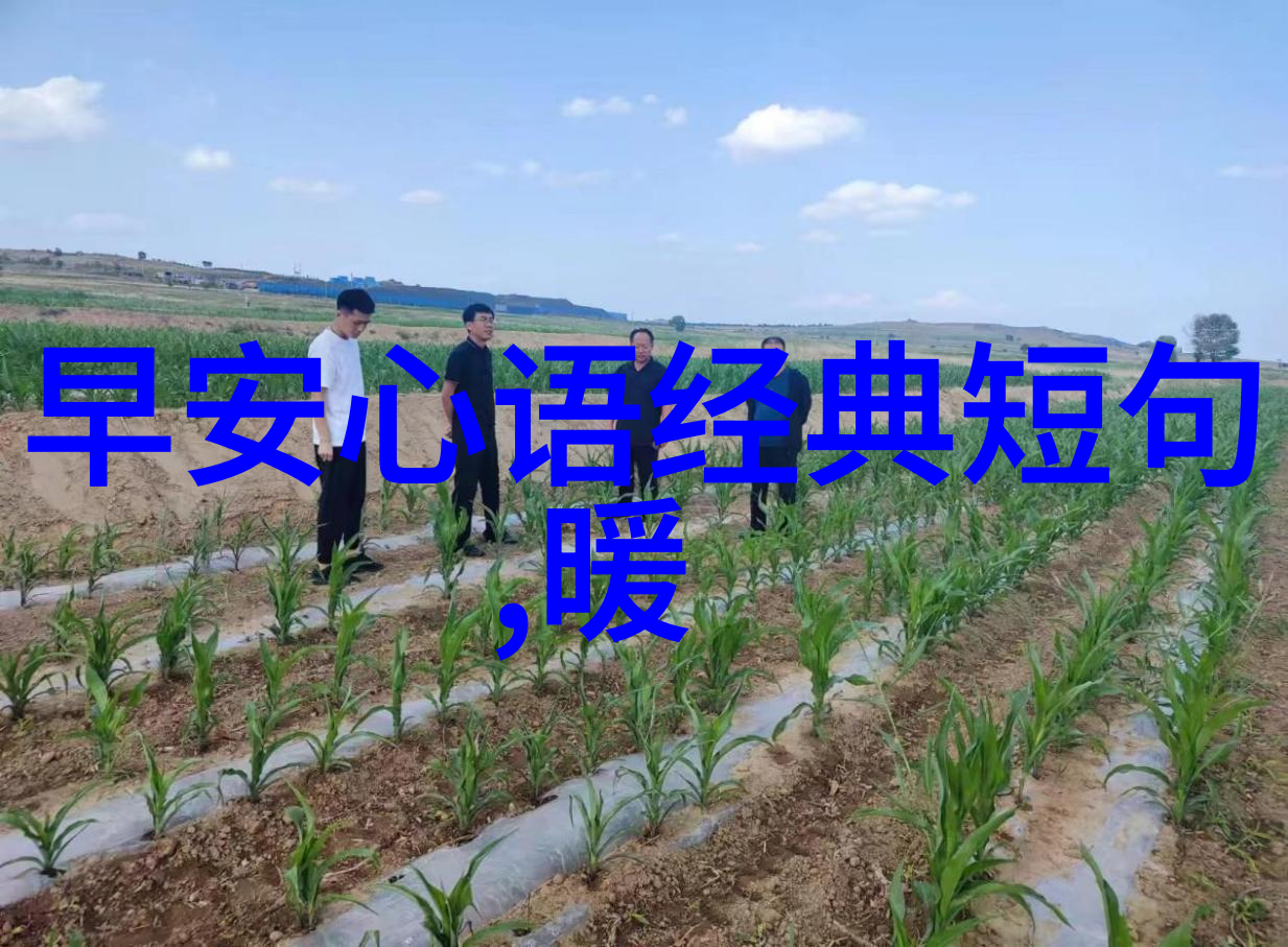 音乐与情感-歌词里的可爱探索那些温暖心灵的旋律