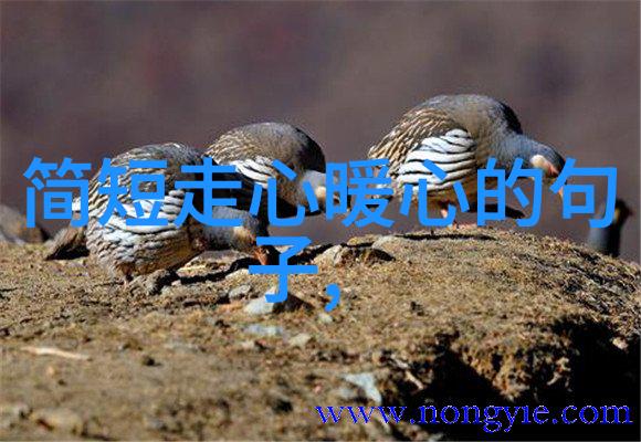 我的影帝影后家人背后的支持与成长