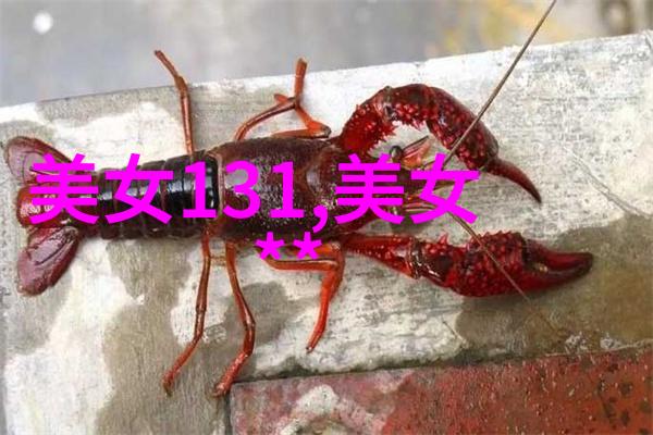 经典短句早上好 - 向日出致敬的温馨问候