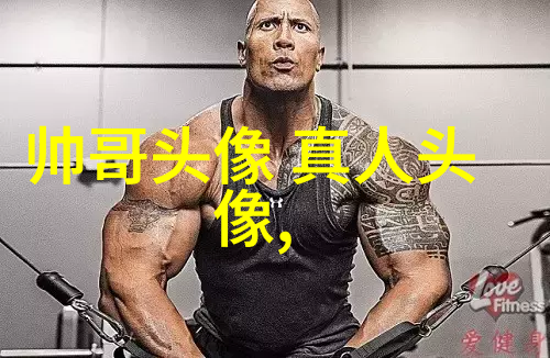 娱乐小说-闪耀剧本明星小说背后的真实故事