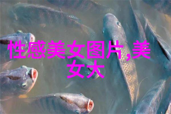 心灵独白人生感悟中的语录篇章