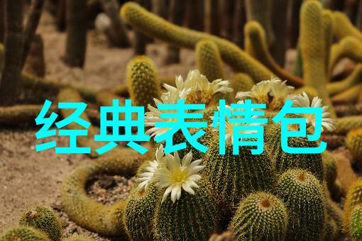 图像创造力的体现 如何通过拍摄技术塑造一个完美的照片女性形象