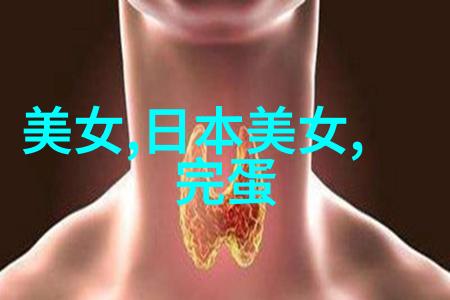 中国节日我国的庆祝盛宴从春节到中秋岁月悠长的传统与现代交织