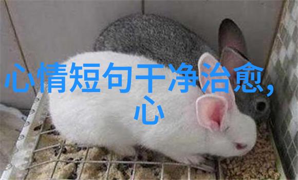 丝袜美女纤细织梦的魅力与韵律