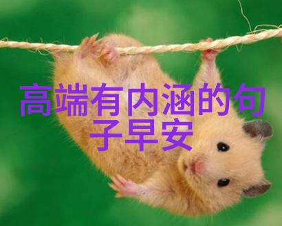 特别伤感扎心的句子情感深度表达
