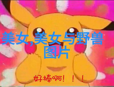乌龟扇贝友好互动可爱的乌龟与朋友分享扇贝乐趣