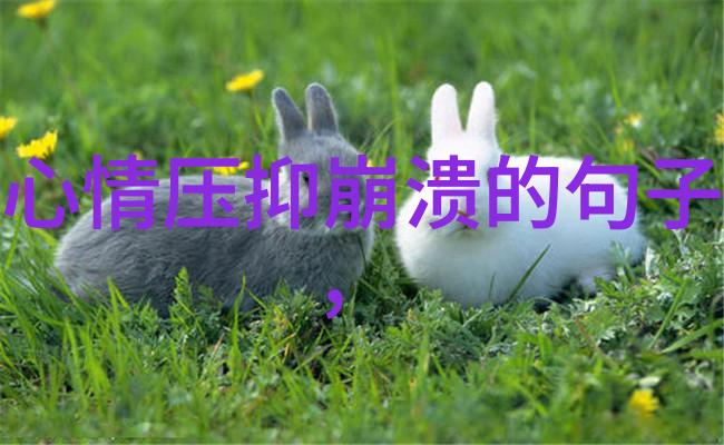 王丽坤携幕后玩家亮相东京电影节 荣获最具人气女演员奖