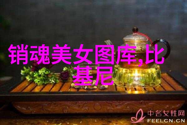帅哥jj时尚界的风采与魅力