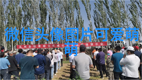 主题我加入了那个充满干劲的群名从懒惰到热血的转变