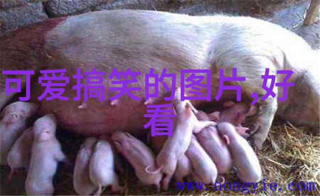 传统节日大集合从腊八到中秋我们的祖先真的这么过吗