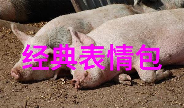 不言不语有象征探究简化风格下的象征意义和文化背景