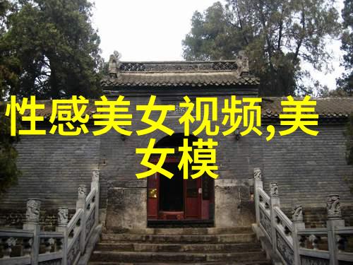 美女视频盛宴倩影流光心动瞬间